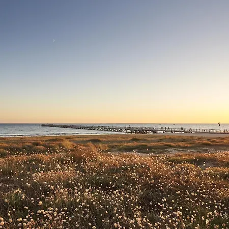 500 M De La Plage, Jardin, Maison Pour 5 * Σαιν-Ζαν-ντε-Μον