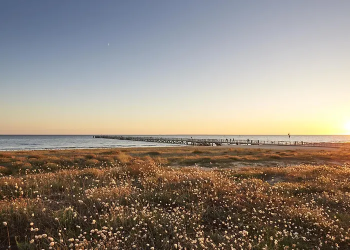500 M De La Plage, Jardin, Maison Pour 5 * Saint-Jean-de-Monts